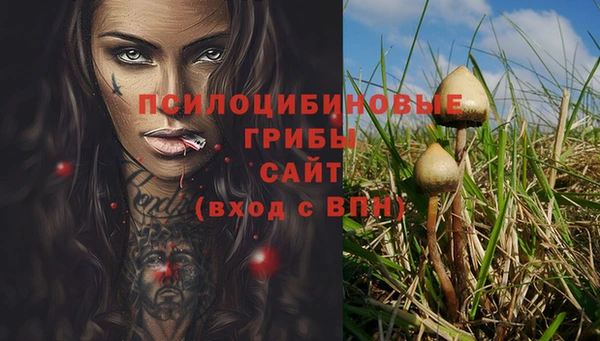 mdpv Костерёво