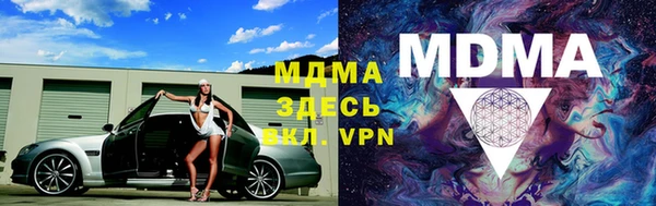 ГАЛЛЮЦИНОГЕННЫЕ ГРИБЫ Козловка