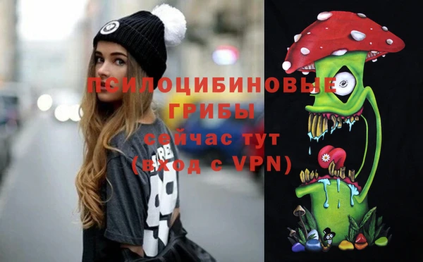 амф Коряжма