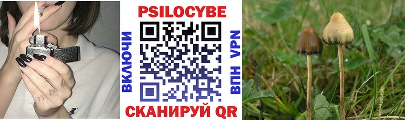 Купить  Горняк  Псилоцибиновые грибы GOLDEN TEACHER 